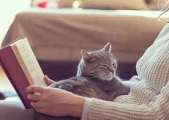 Donna legge un libro e gatto che fa le fusa