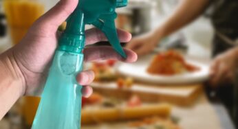 Insetti in cucina: tutti i rimedi più efficaci per allontanarli in modo definitivo